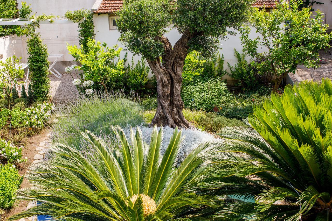 Reggine Holiday Apartments Sant'Agnello Zewnętrze zdjęcie