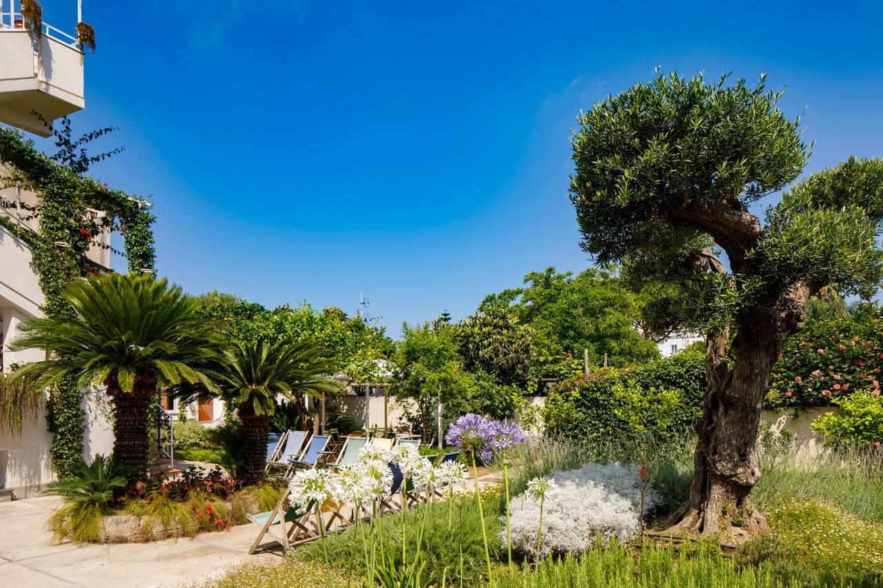 Reggine Holiday Apartments Sant'Agnello Zewnętrze zdjęcie