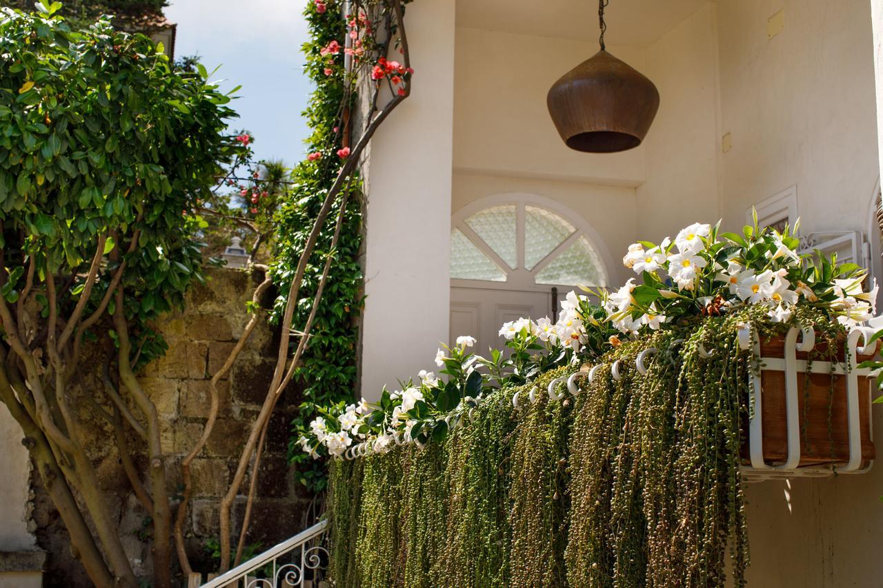 Reggine Holiday Apartments Sant'Agnello Zewnętrze zdjęcie