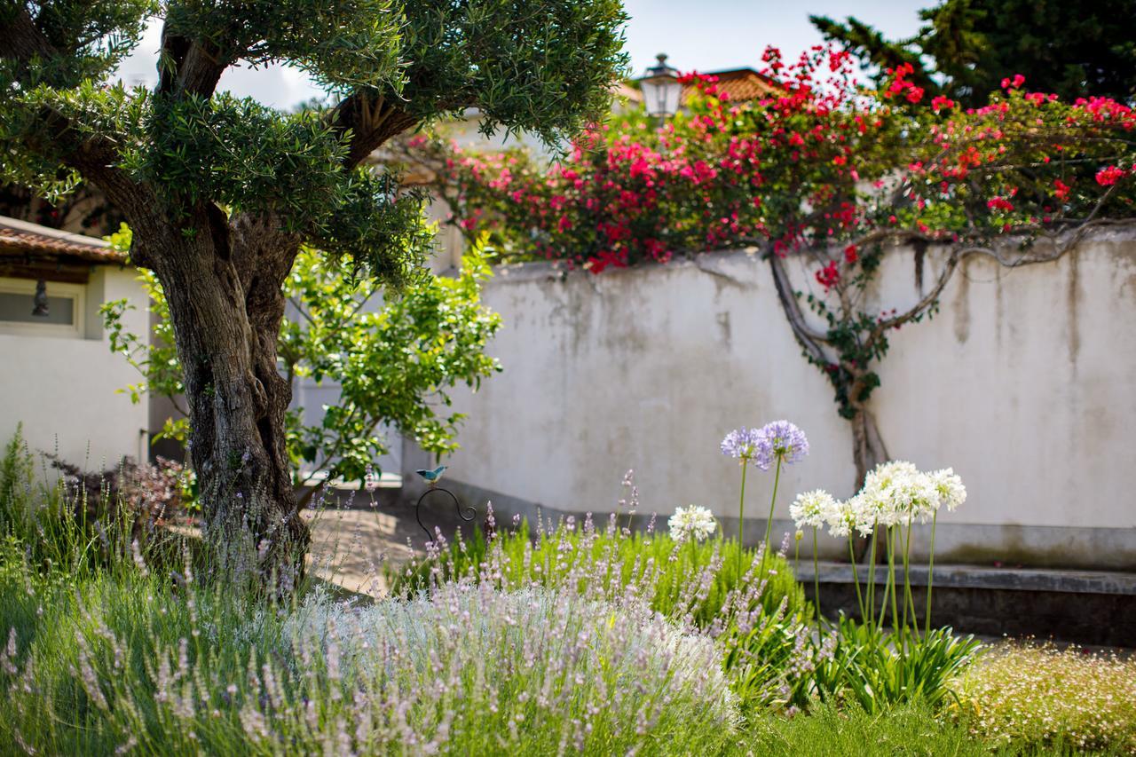 Reggine Holiday Apartments Sant'Agnello Zewnętrze zdjęcie