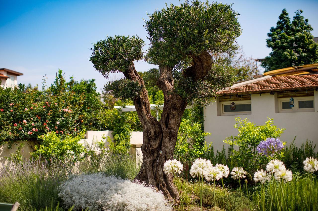 Reggine Holiday Apartments Sant'Agnello Zewnętrze zdjęcie